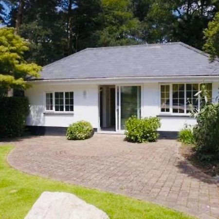 Chadham Pines Cottage Poole Dış mekan fotoğraf